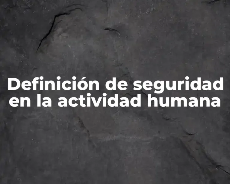 Definición de seguridad en la actividad humana