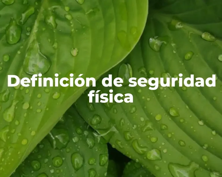 Definición de seguridad física