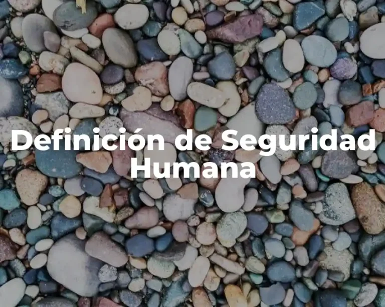 Definición de Seguridad Humana