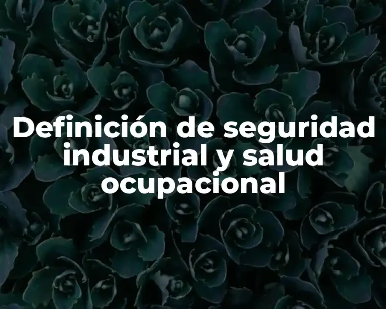 Definición de seguridad industrial y salud ocupacional