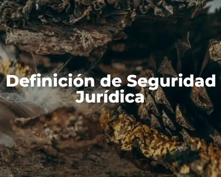 Definición de Seguridad Jurídica