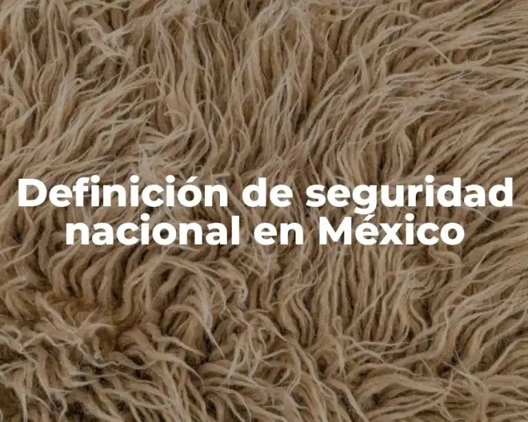 Definición de seguridad nacional en México