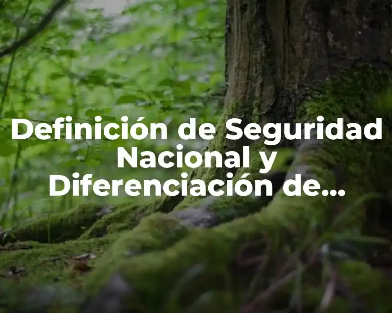 Definición de Seguridad Nacional y Diferenciación de Seguridad Pública