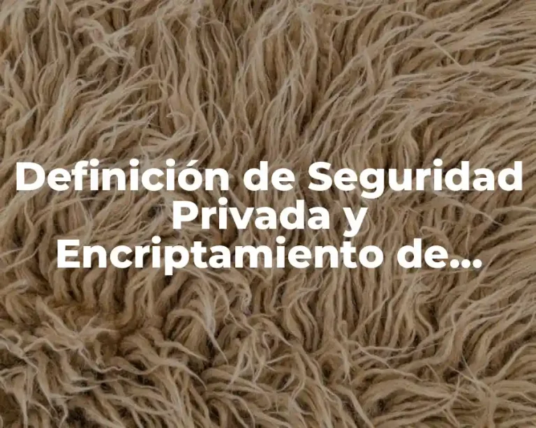 Definición de Seguridad Privada y Encriptamiento de Datos
