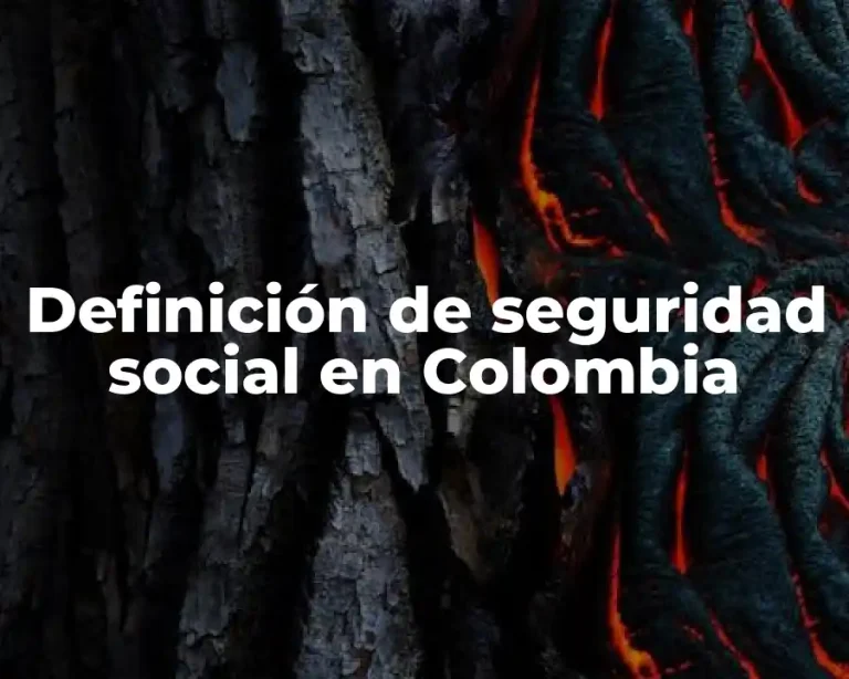 Definición de seguridad social en Colombia