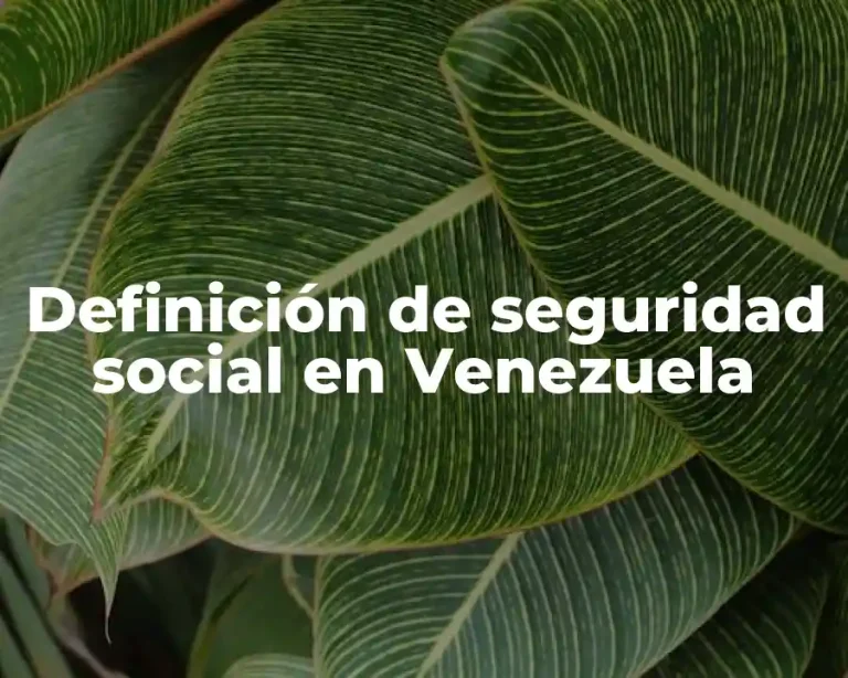 Definición de seguridad social en Venezuela