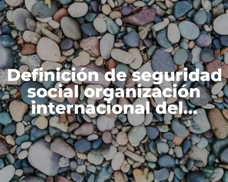 Definición de seguridad social organización internacional del trabajo