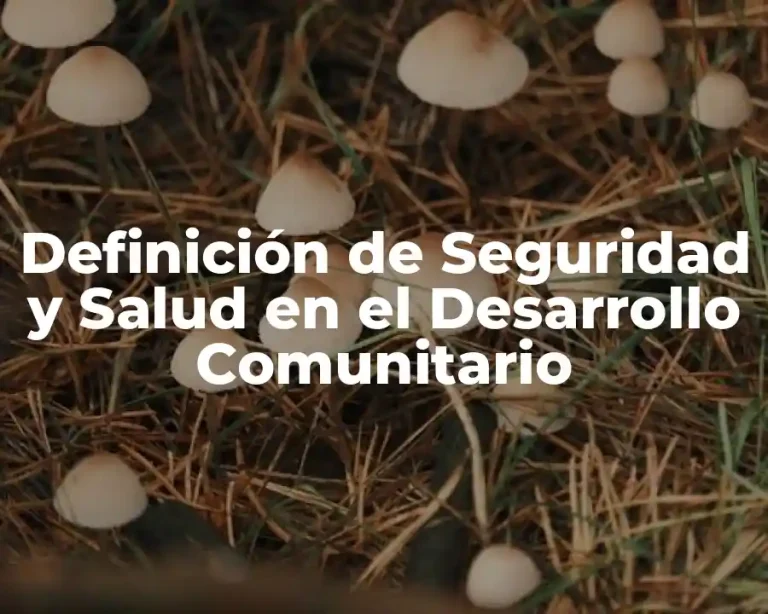 Definición de Seguridad y Salud en el Desarrollo Comunitario