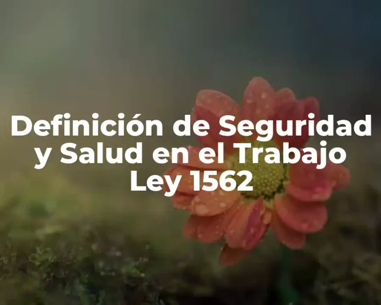 Definición de Seguridad y Salud en el Trabajo Ley 1562