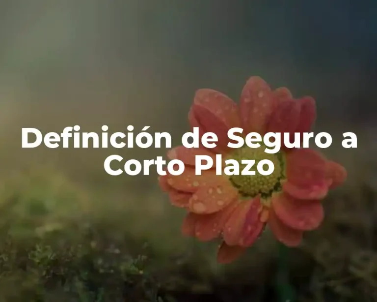 Definición de Seguro a Corto Plazo