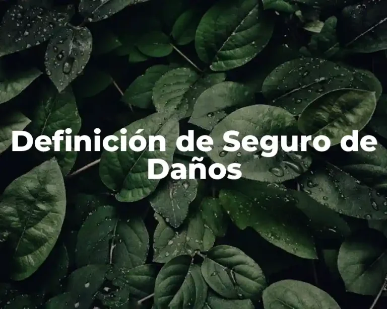 Definición de Seguro de Daños