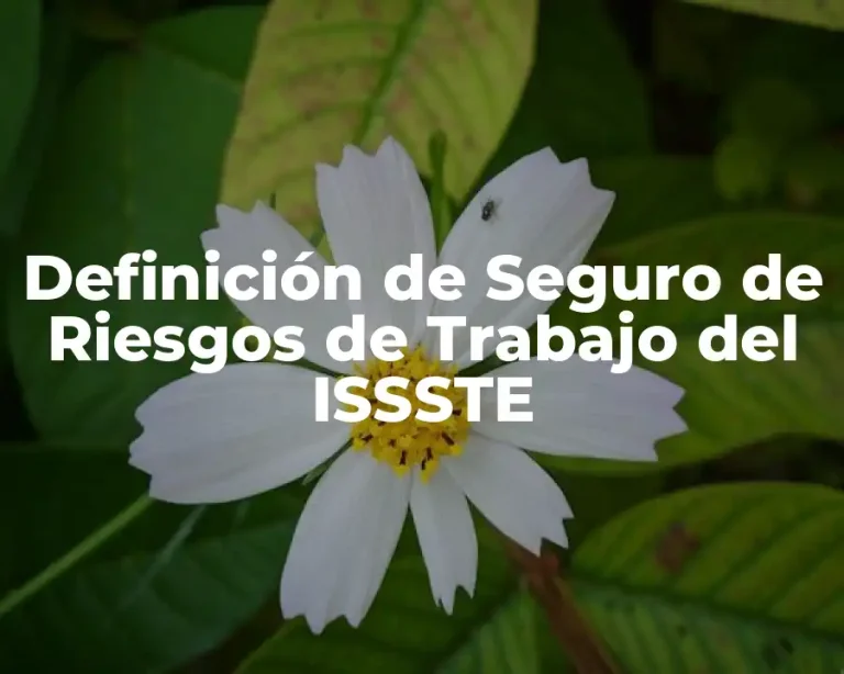 Definición de Seguro de Riesgos de Trabajo del ISSSTE