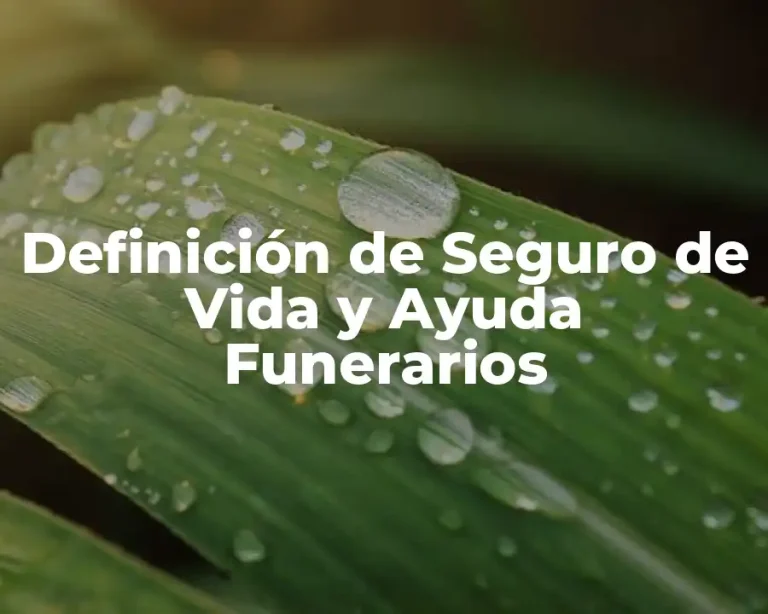 Definición de Seguro de Vida y Ayuda Funerarios