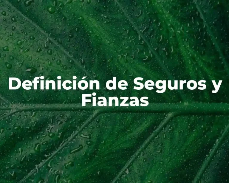 Definición de Seguros y Fianzas