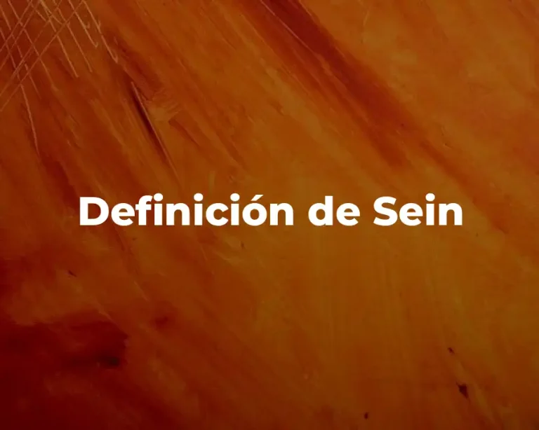 Definición de Sein