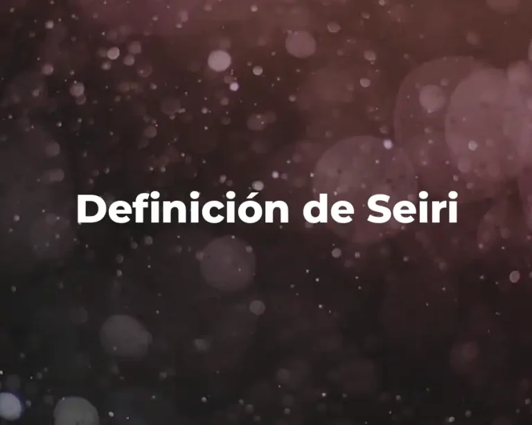 Definición de Seiri