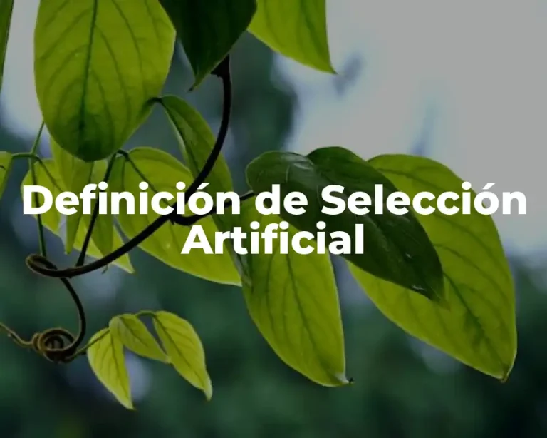 Definición de Selección Artificial