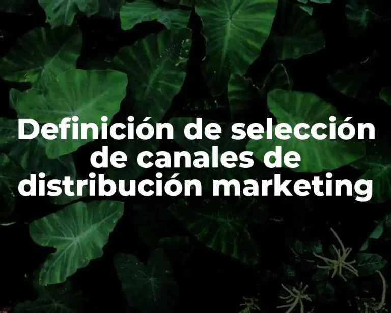 Definición de selección de canales de distribución marketing