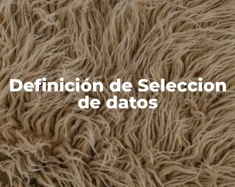 Definición de Seleccion de datos