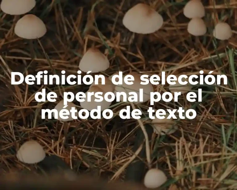 Definición de selección de personal por el método de texto