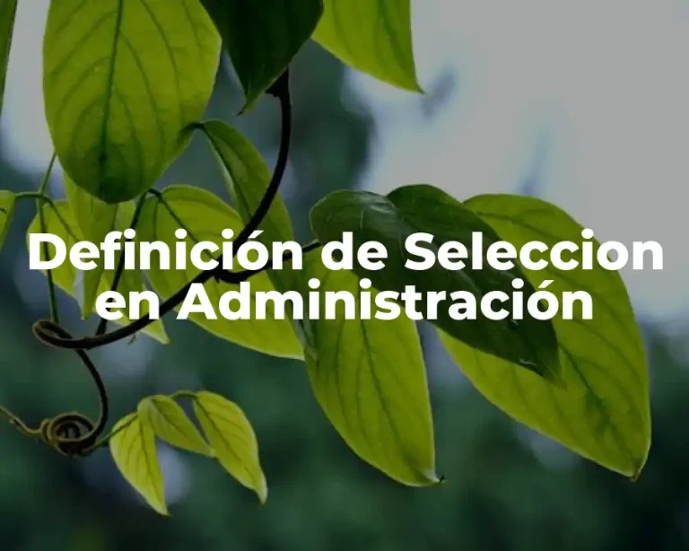 Definición de Seleccion en Administración