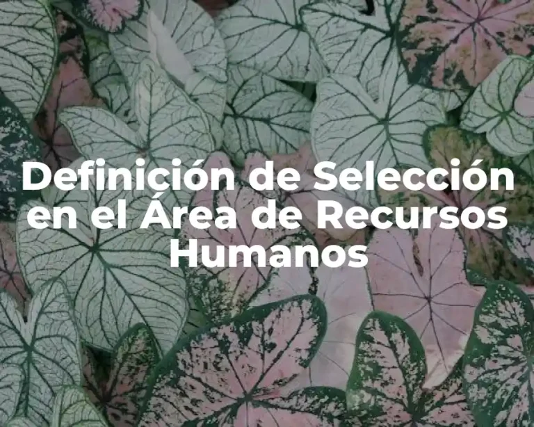 Definición de Selección en el Área de Recursos Humanos