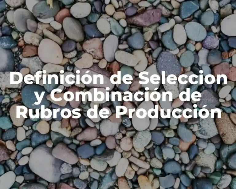 Definición de Seleccion y Combinación de Rubros de Producción