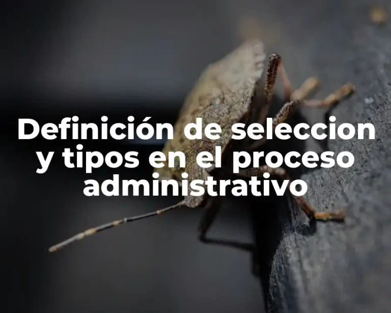 Definición de seleccion y tipos en el proceso administrativo