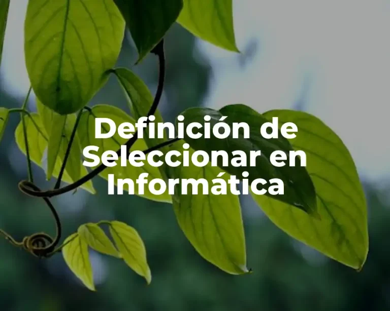 Definición de Seleccionar en Informática
