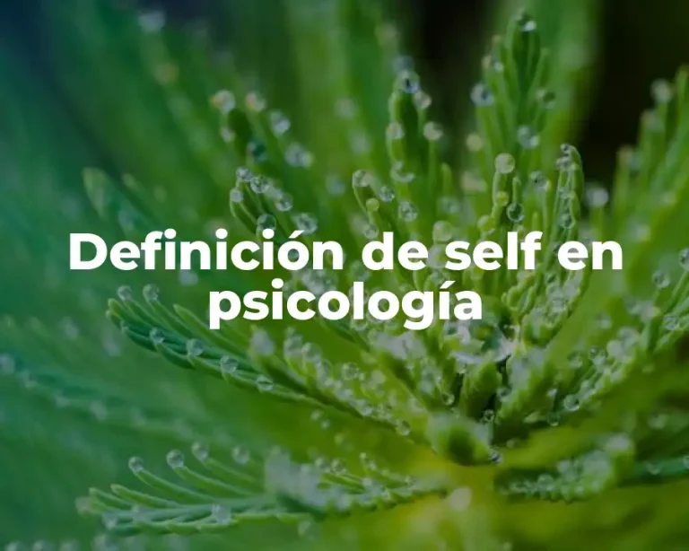Definición de self en psicología