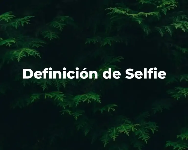 Definición de Selfie