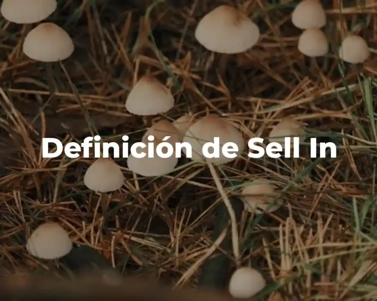 Definición de Sell In