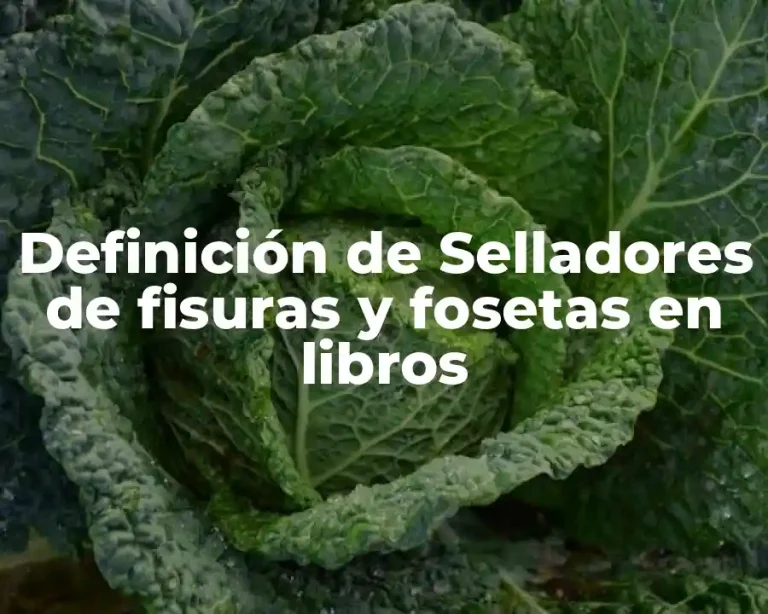 Definición de Selladores de fisuras y fosetas en libros