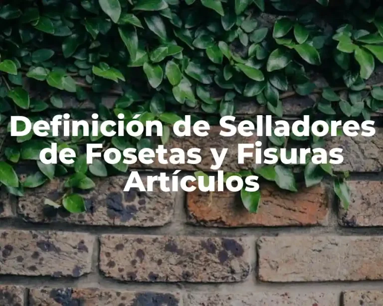 Definición de Selladores de Fosetas y Fisuras Artículos