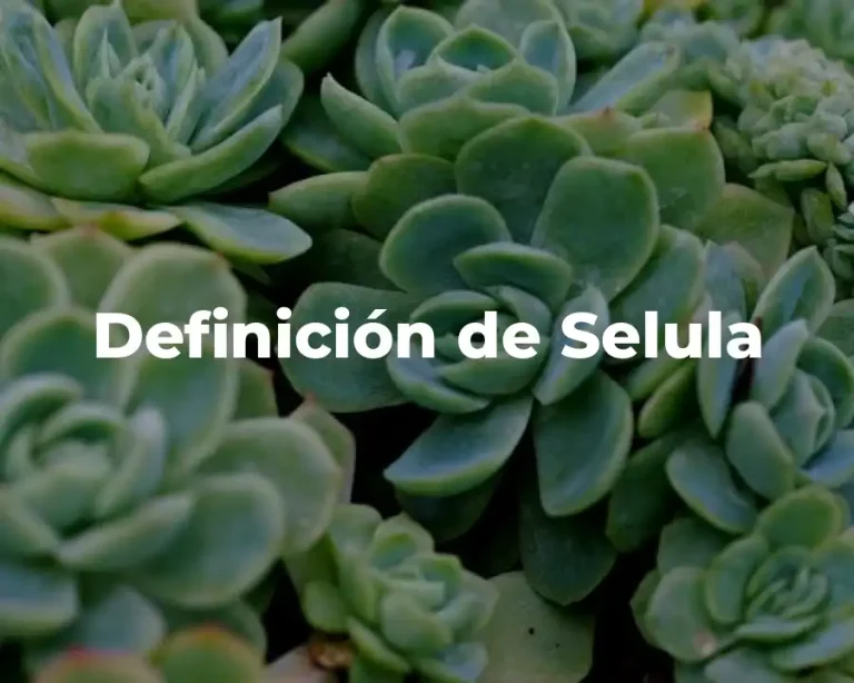 Definición de Selula