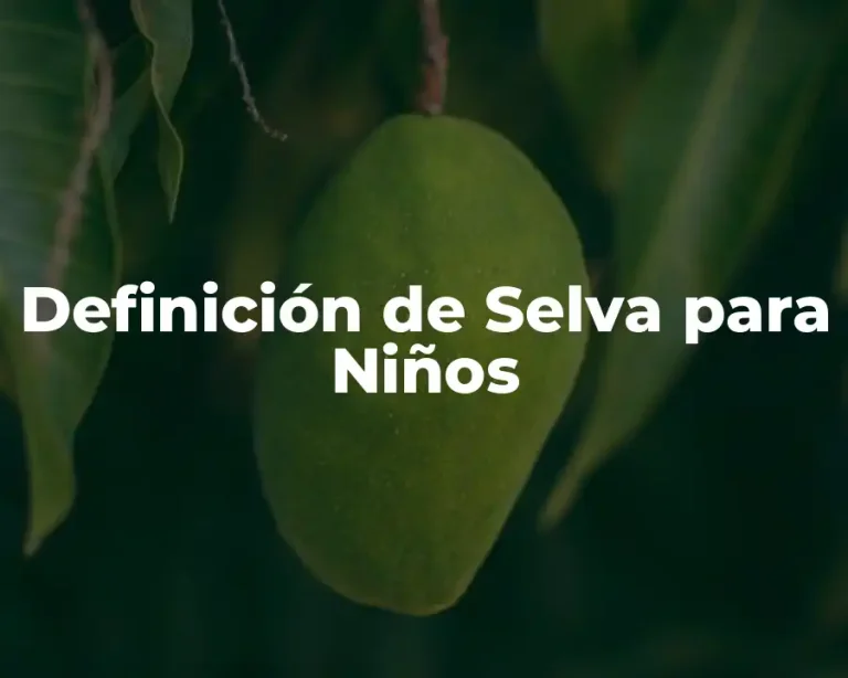 Definición de Selva para Niños