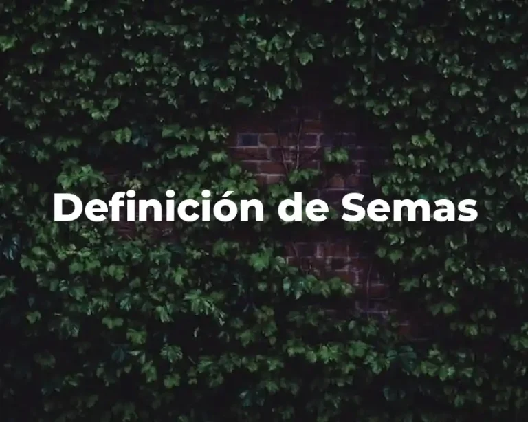 Definición de Semas