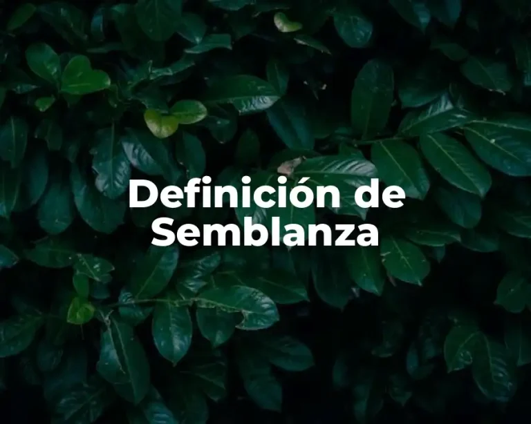 Definición de Semblanza