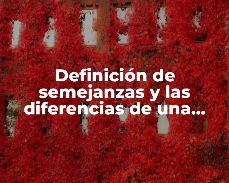 Definición de semejanzas y las diferencias de una empresa