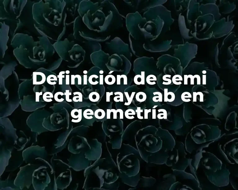 Definición de semi recta o rayo ab en geometría