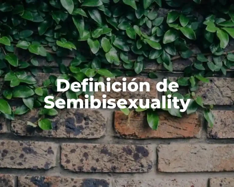 Definición de Semibisexuality