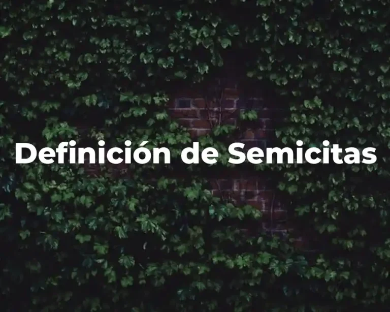 Definición de Semicitas