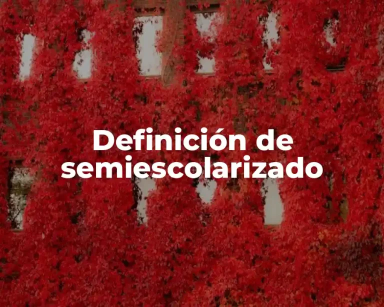 Definición de semiescolarizado