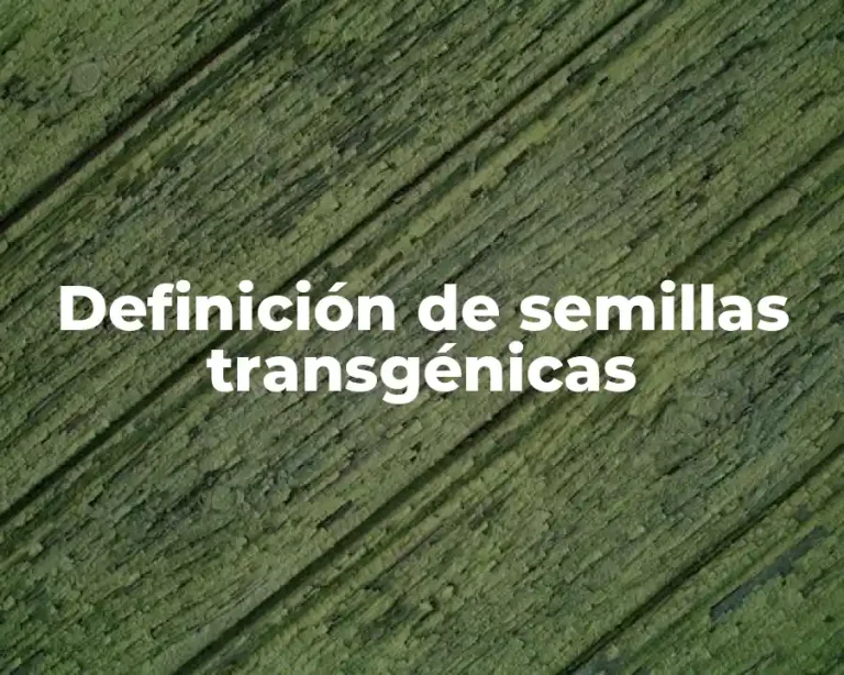 Definición de semillas transgénicas