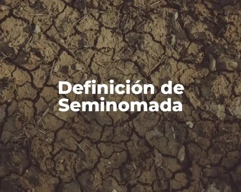Definición de Seminomada