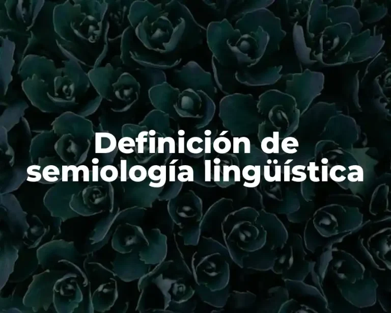 Definición de semiología lingüística