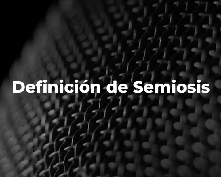 Definición de Semiosis