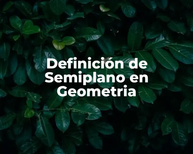 Definición de Semiplano en Geometria