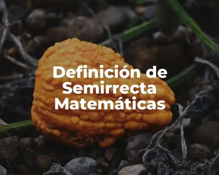 Definición de Semirrecta Matemáticas