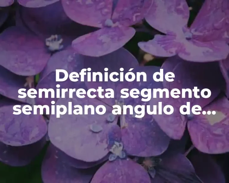 Definición de semirrecta segmento semiplano angulo de dos rectas